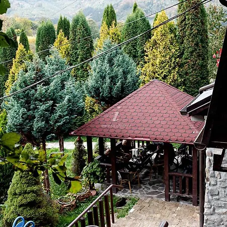 Casa Ana Villa Dragoslavele
