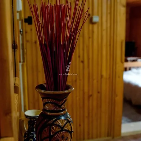 Villa Casa Ana Dragoslavele