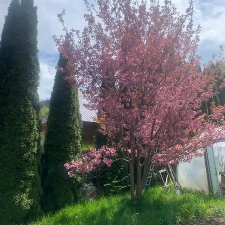 Casa Ana *